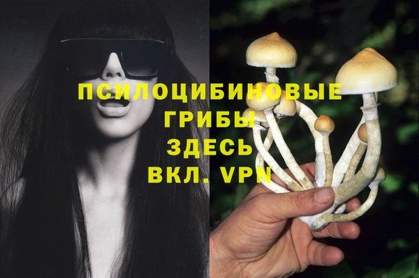apvp Алексеевка