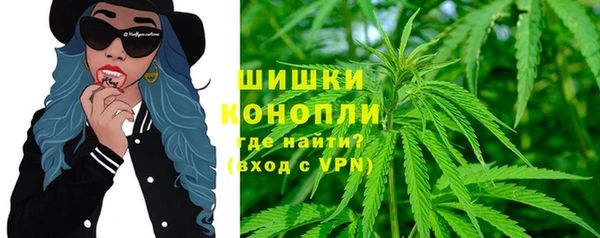 ПСИЛОЦИБИНОВЫЕ ГРИБЫ Алзамай