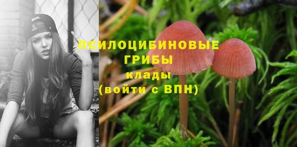 apvp Алексеевка