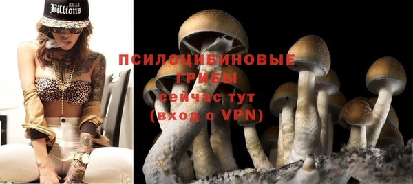apvp Алексеевка