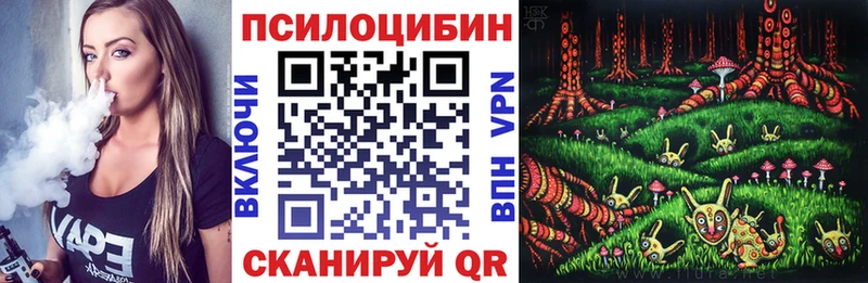 Псилоцибиновые грибы мицелий дарнет шоп Коряжма